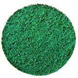 SHARK 10 PK 2″ Fine Blue Surface Conditioning ROLOK DISC
