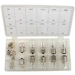 17 pc.12 Volt Auto Lamp Bulb Assortment (comes in plastic case)