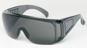 1750G GRAY LENS VISITOR SPECTACLES